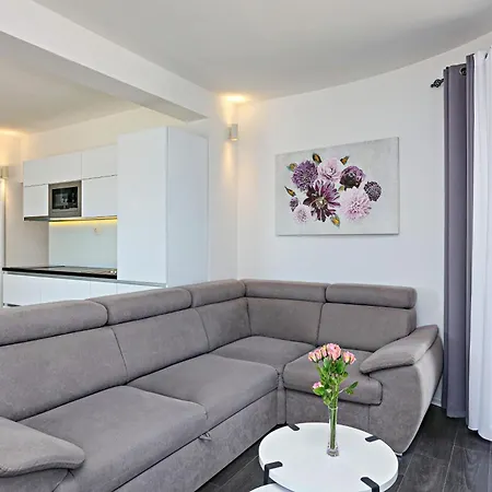 Zecevo Rtic 8366d 罗戈兹尼察